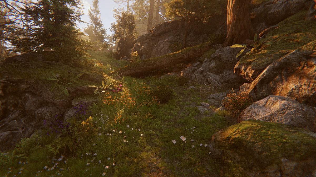 Tobyfredson - Nature Collection