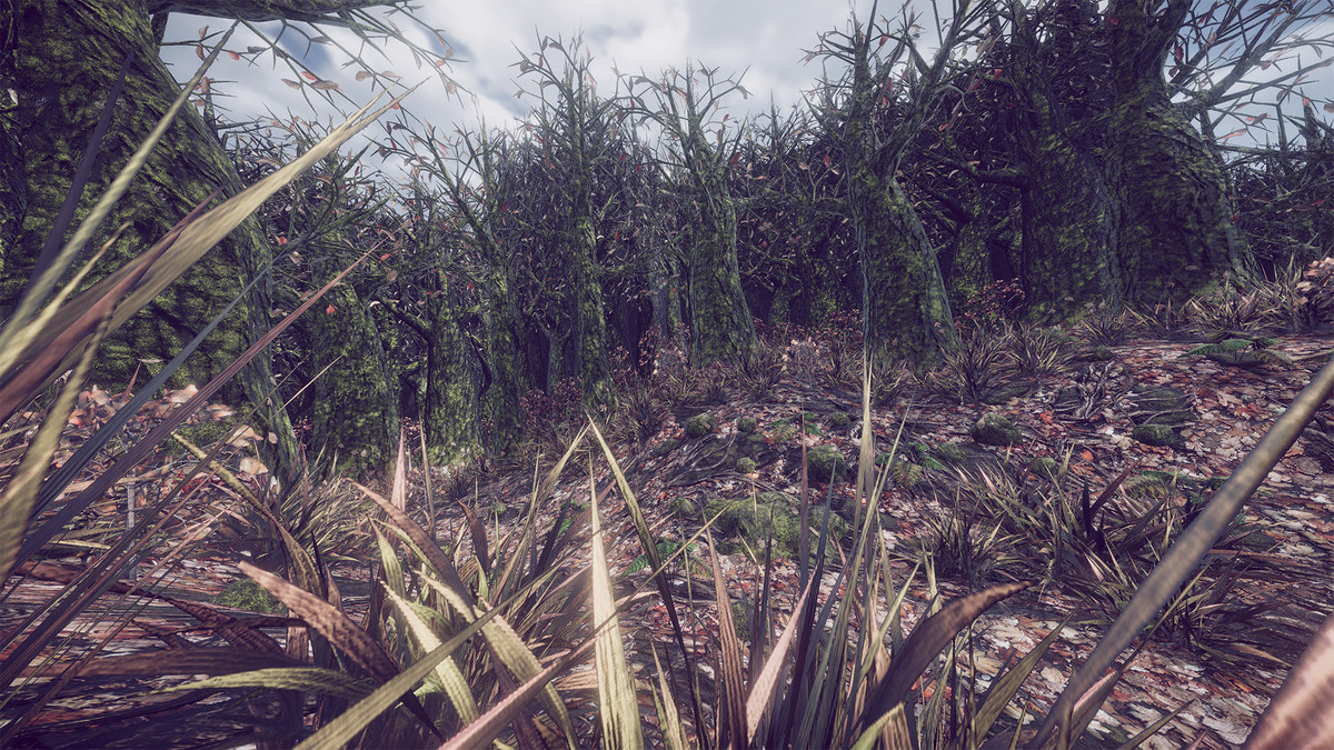 Sad Forest - Map Series 2 -