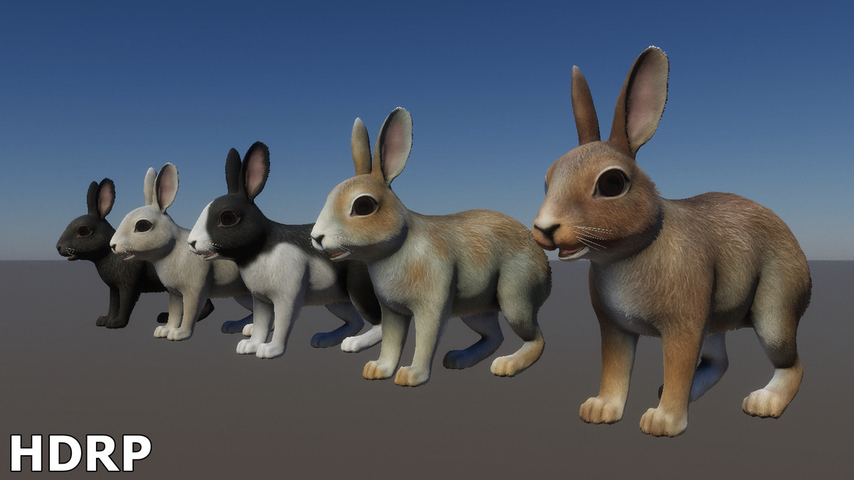 Rabbit Family