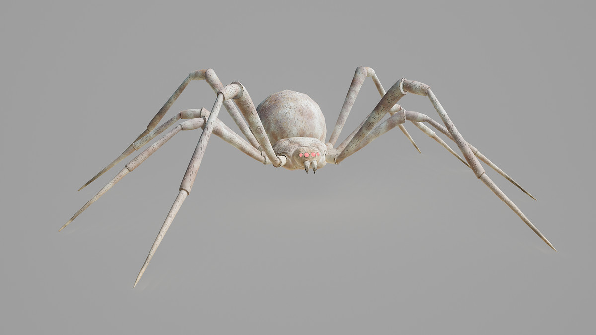 Stylized Spider_2_7 Skin Variants Pack