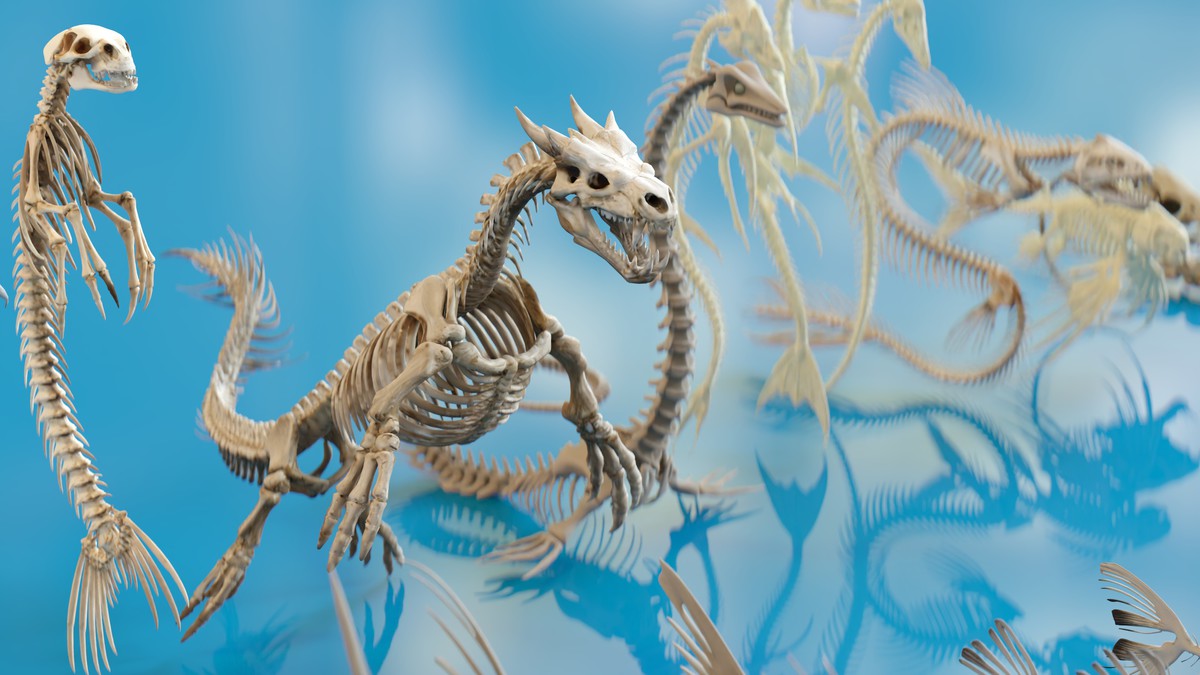 Fish and Underwater Creatures Skeleton Collection – Marine Bone 3D Asset Pack