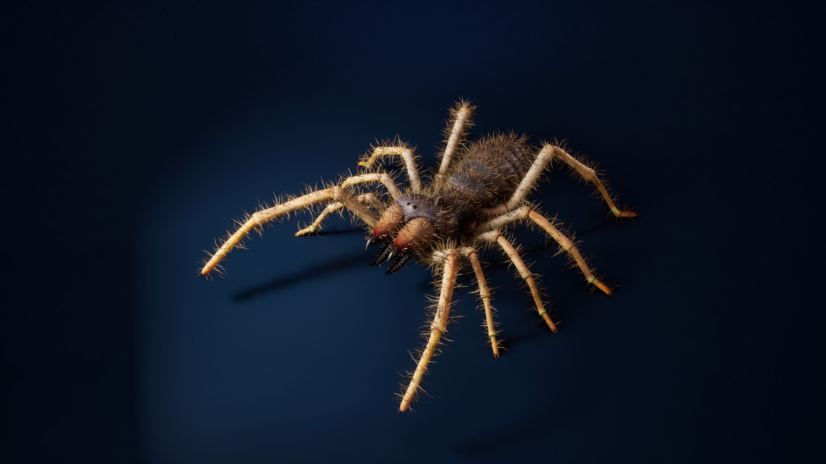 Solifugae Camel Spider, animated and modular monster insect with skins & shader.
