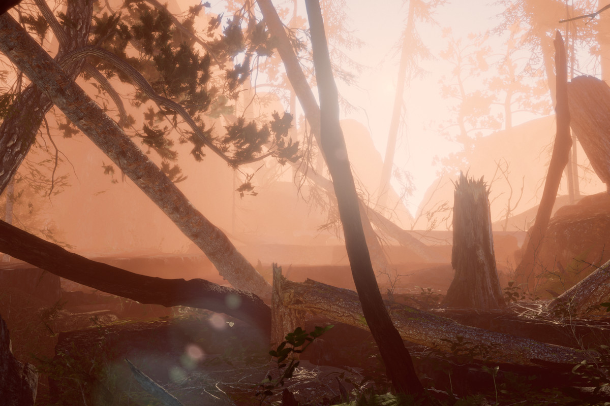 Book of the Dead Forest - URP - Fantasy RPG