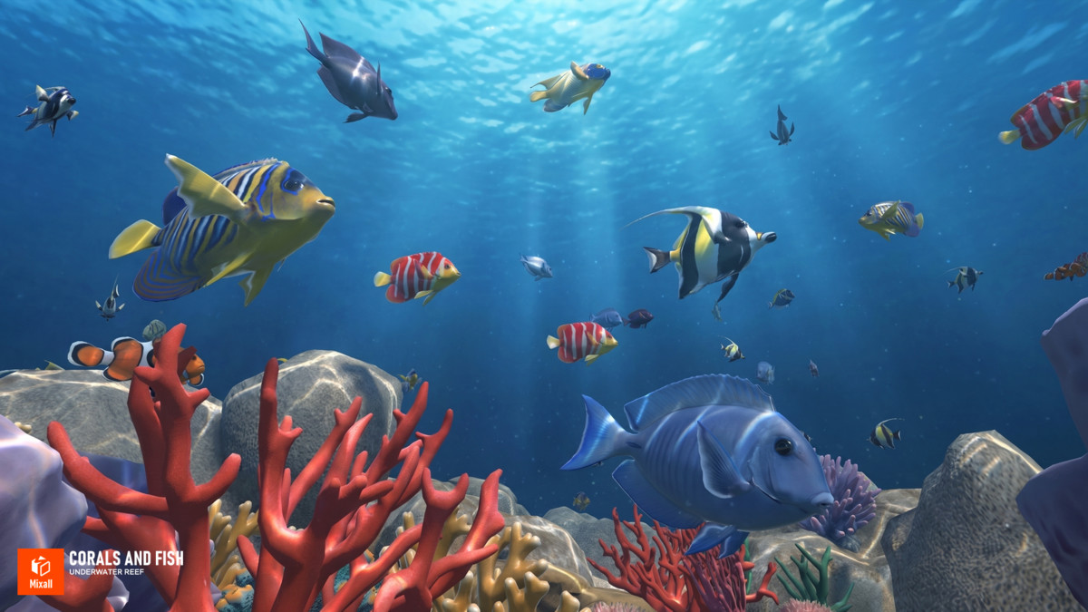 Corals and fish - underwater reef