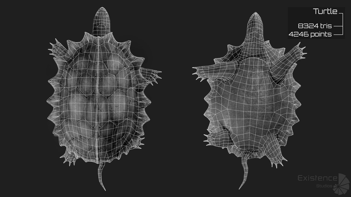 Alligator Turtle Predator - Animated Realistic Underwater Reptile