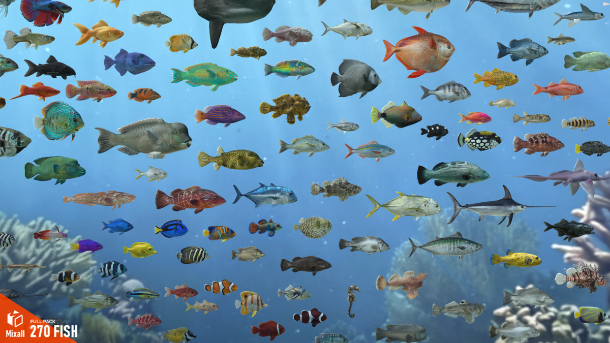 270 fish - Full pack