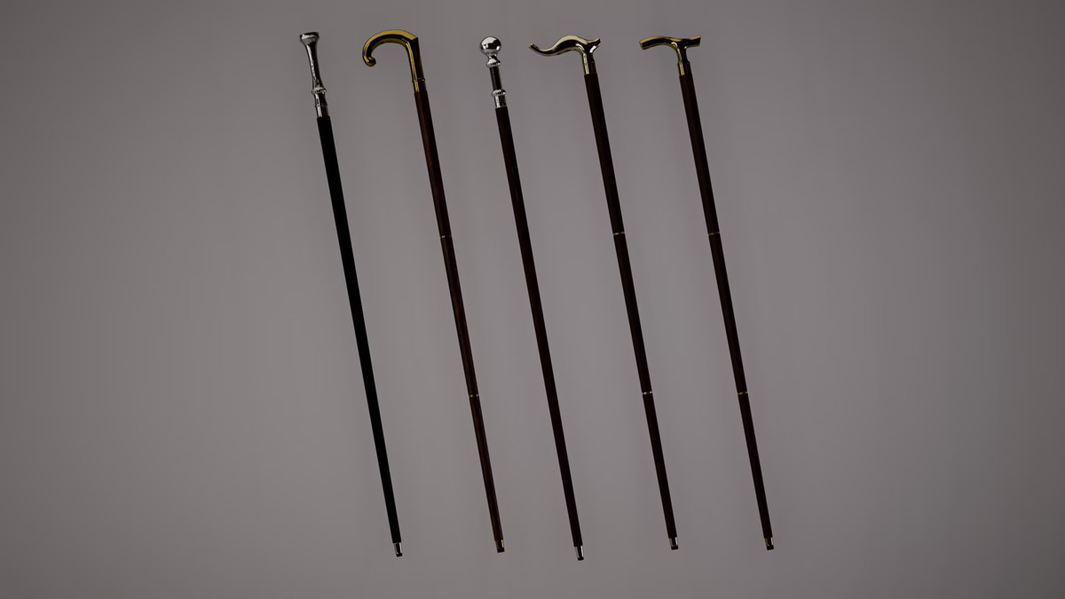 Walking sticks pack