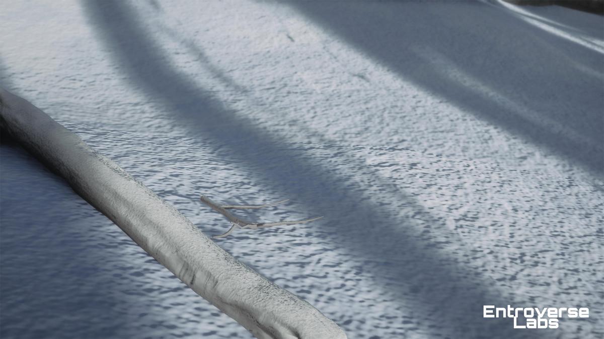 Taiga Biome Environment / Boreal Tundra Forest