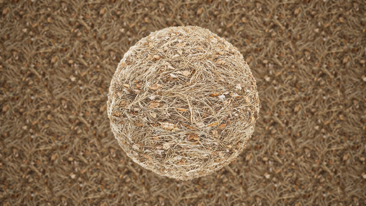 Realistic Materials - Forest Ground 2