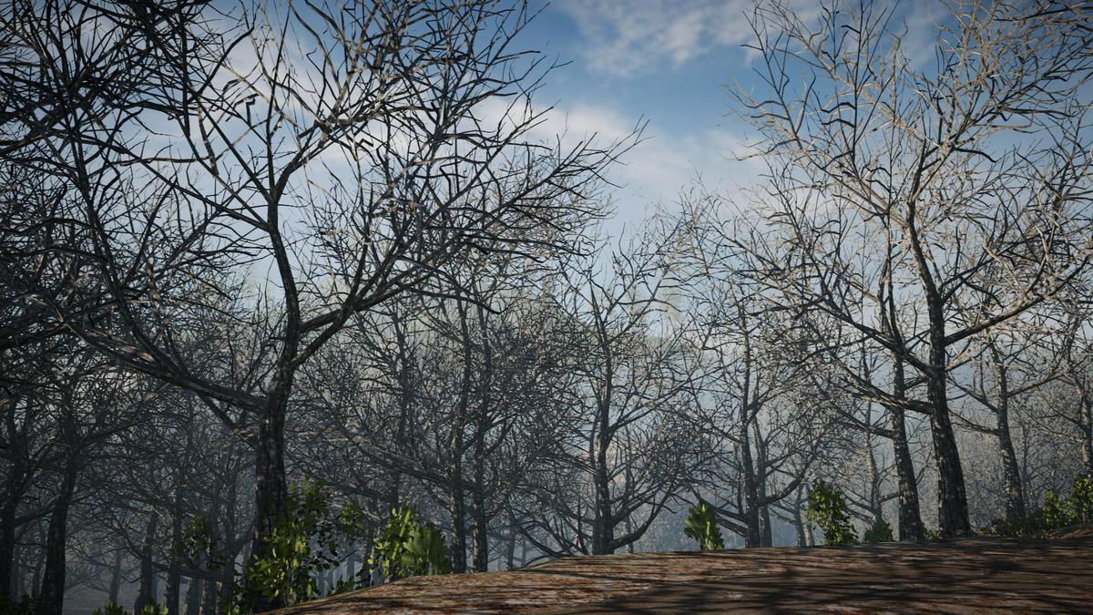 Big Tree Bundle