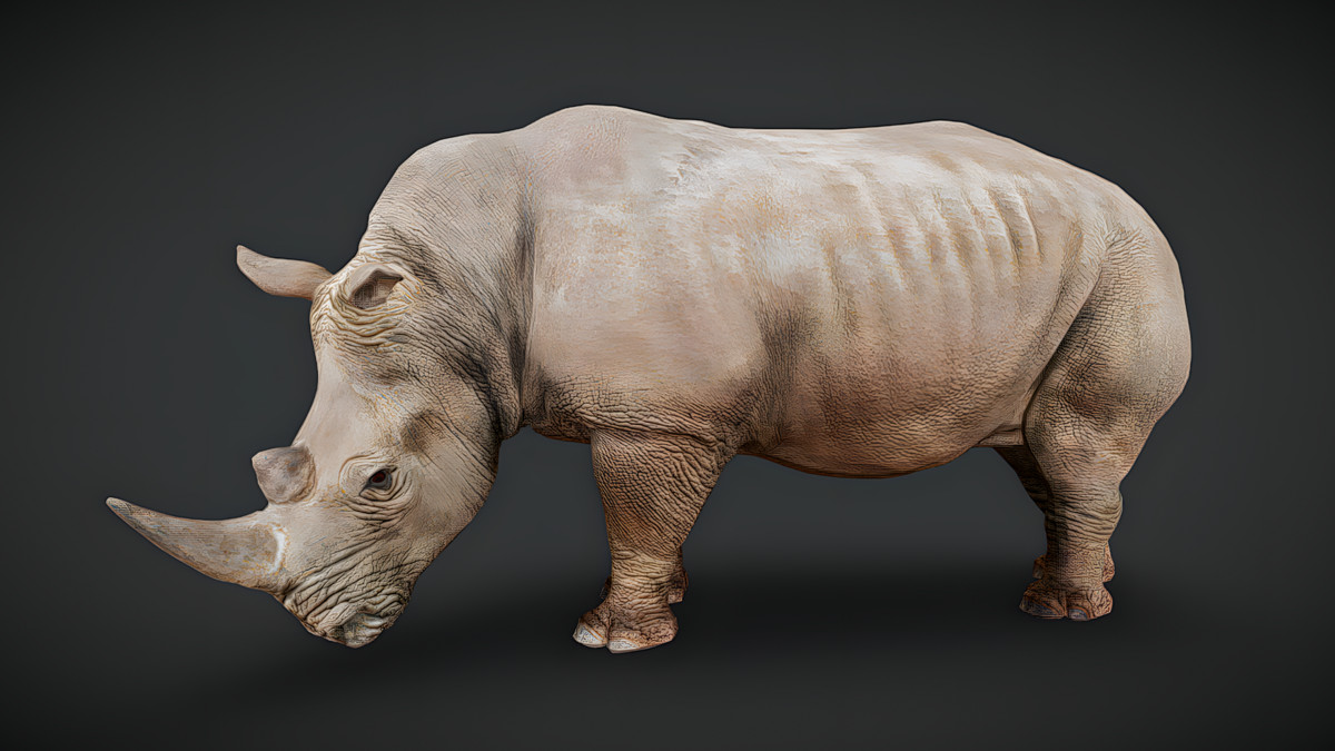 WILDPOLY - Animated Animals – Realistic Pack
