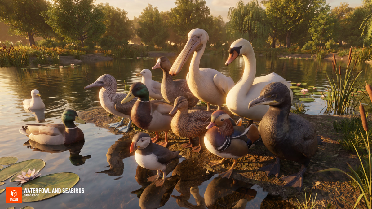 60 Birds - Full Animals Pack