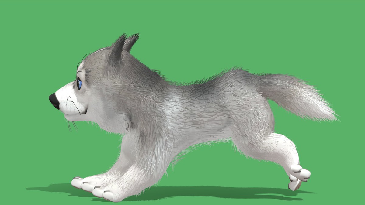 Cute Dog - Husky