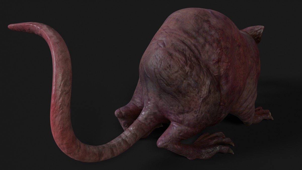 Rat - Mutant Collection