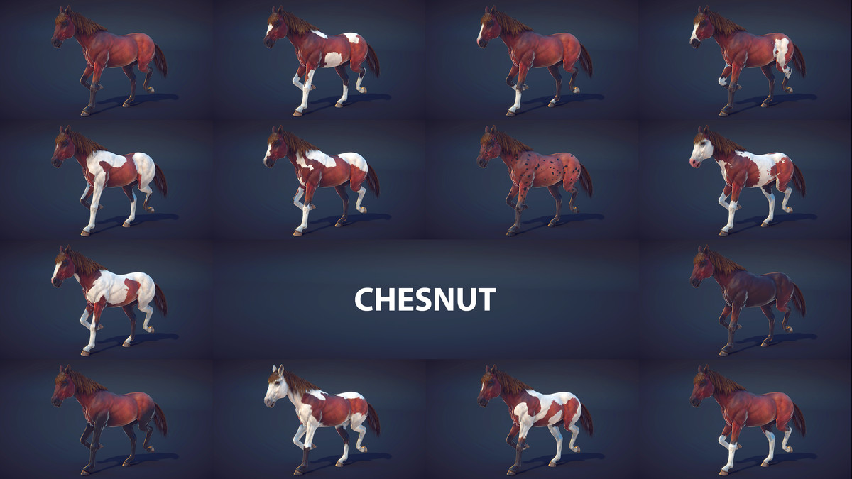 Horse Animset Pro 4 (140 Skin Add-on)