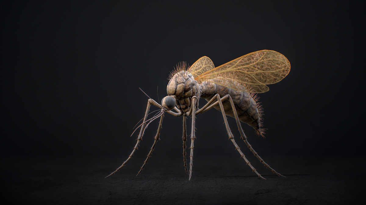 Mosquito Defender - Fantasy Cave Mosquito Creature