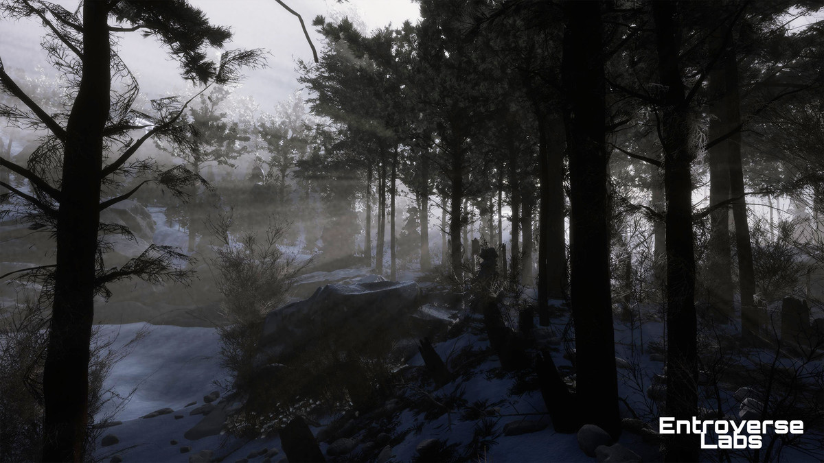 Taiga Biome Environment / Boreal Tundra Forest