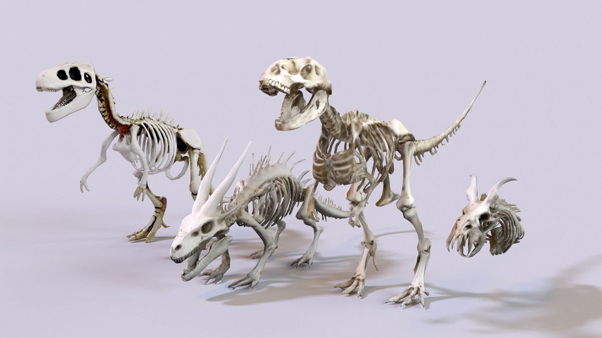 Ultimate Skeleton and Skull Pack. Game-ready low-poly assets