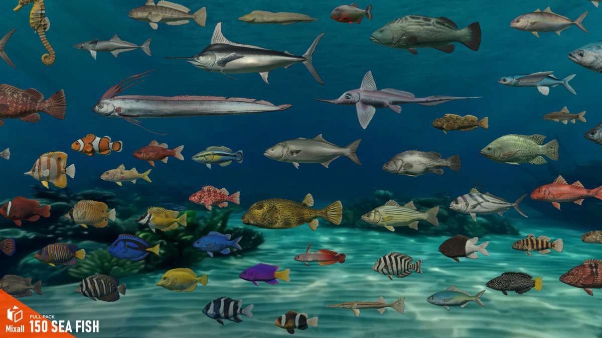 150 Sea fish - Full pack