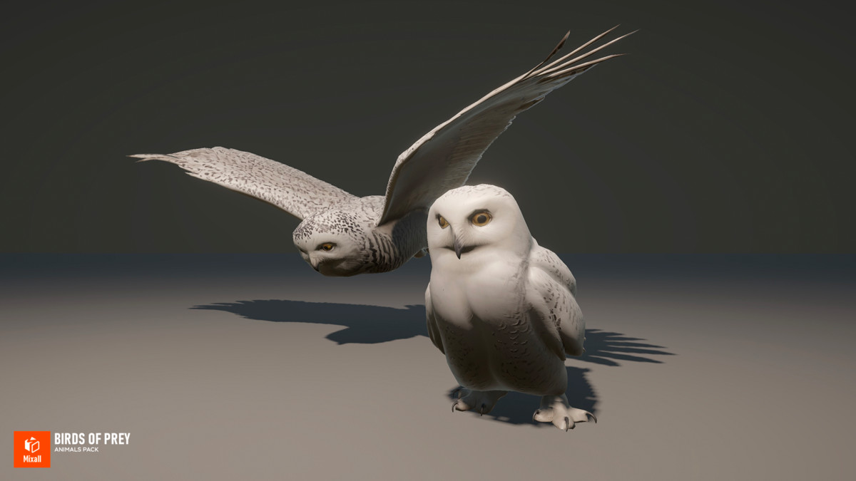 60 Birds - Full Animals Pack