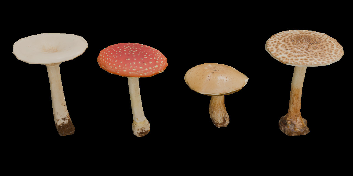 Mushrooms Bundle (62 Prefab + LOD)