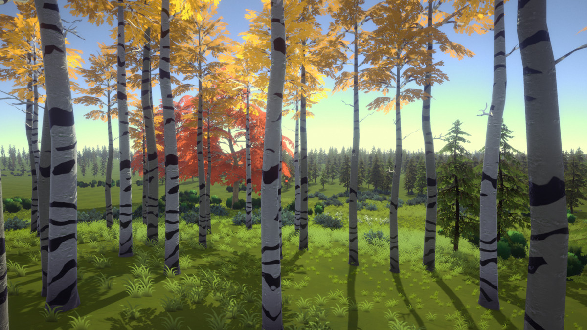 Skog: Temperate