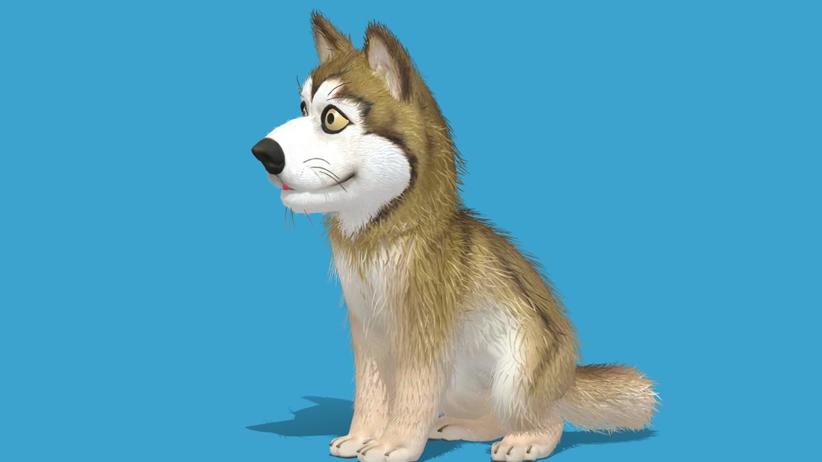 Cute Dog - Husky