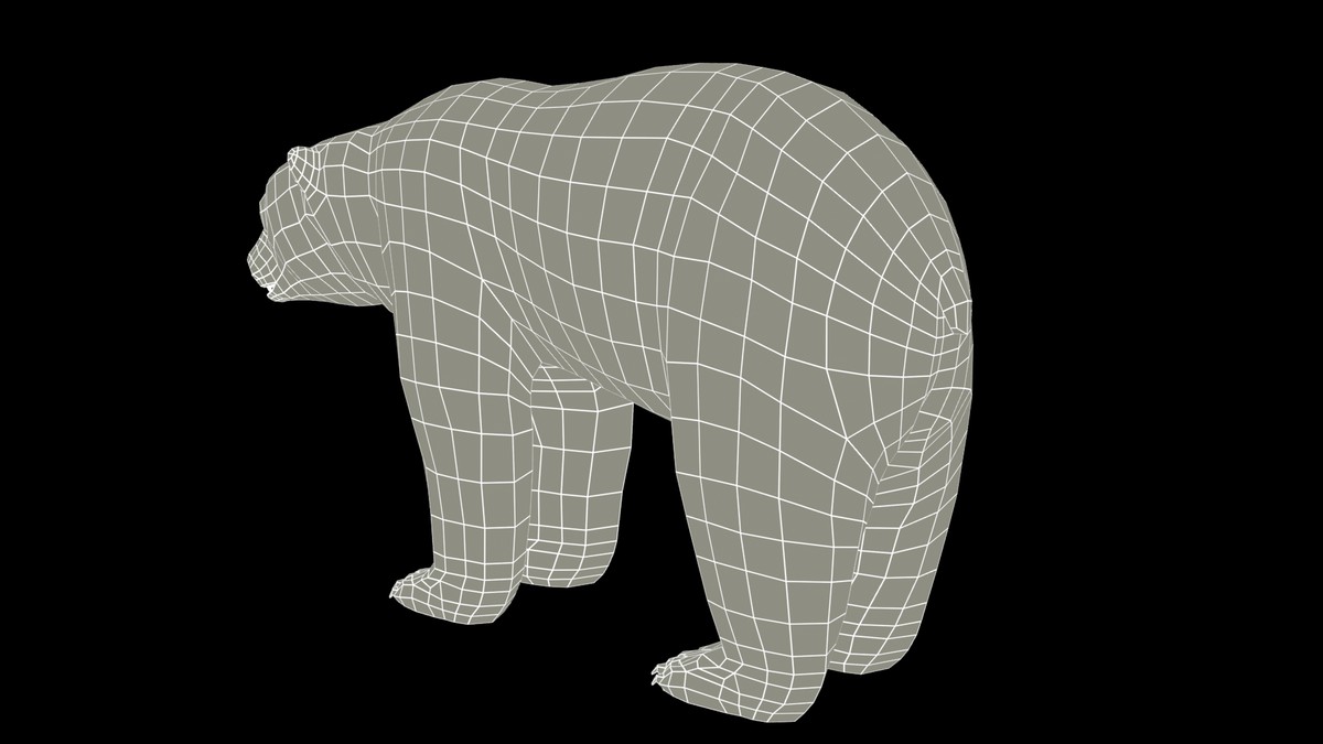 Polar Bear Animated
