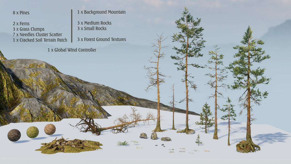 Rocky Pine Forest