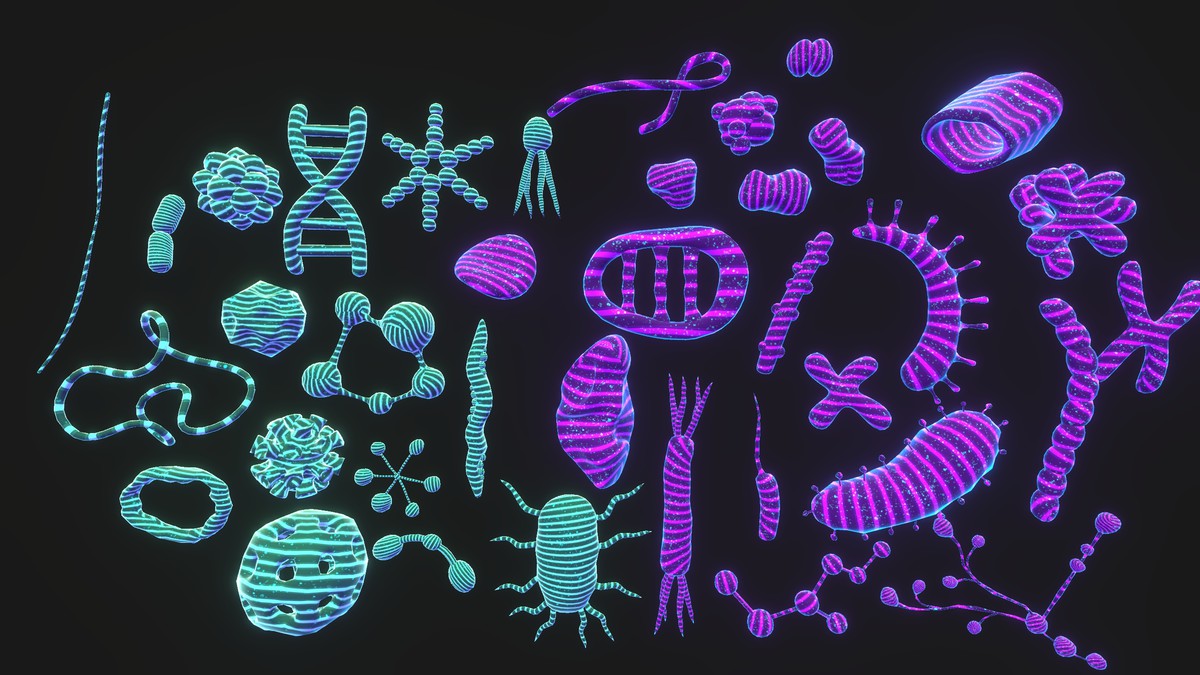 Cyber Viruses & Bio molecules