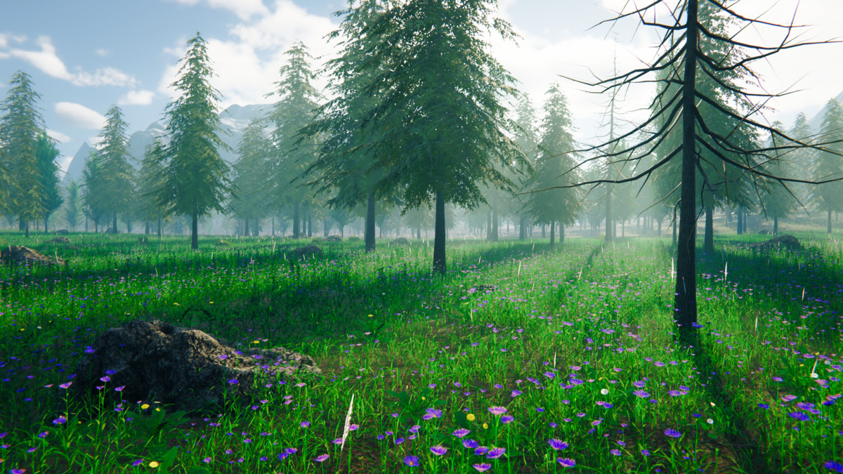 Grass Landscape