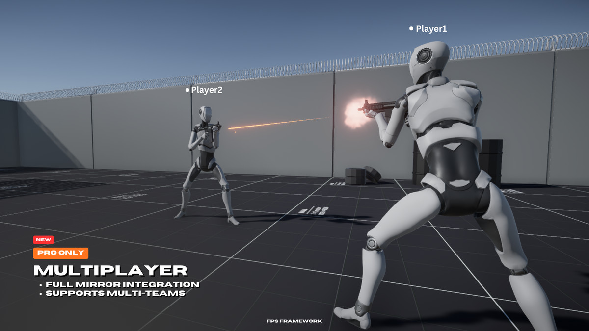 FPS Framework Pro 2.0