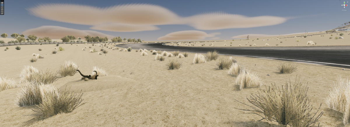 Realistic Race Track California