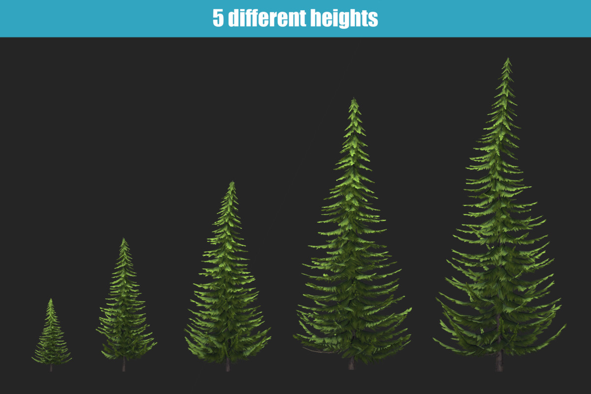 Flexible nature: Sprucewoods