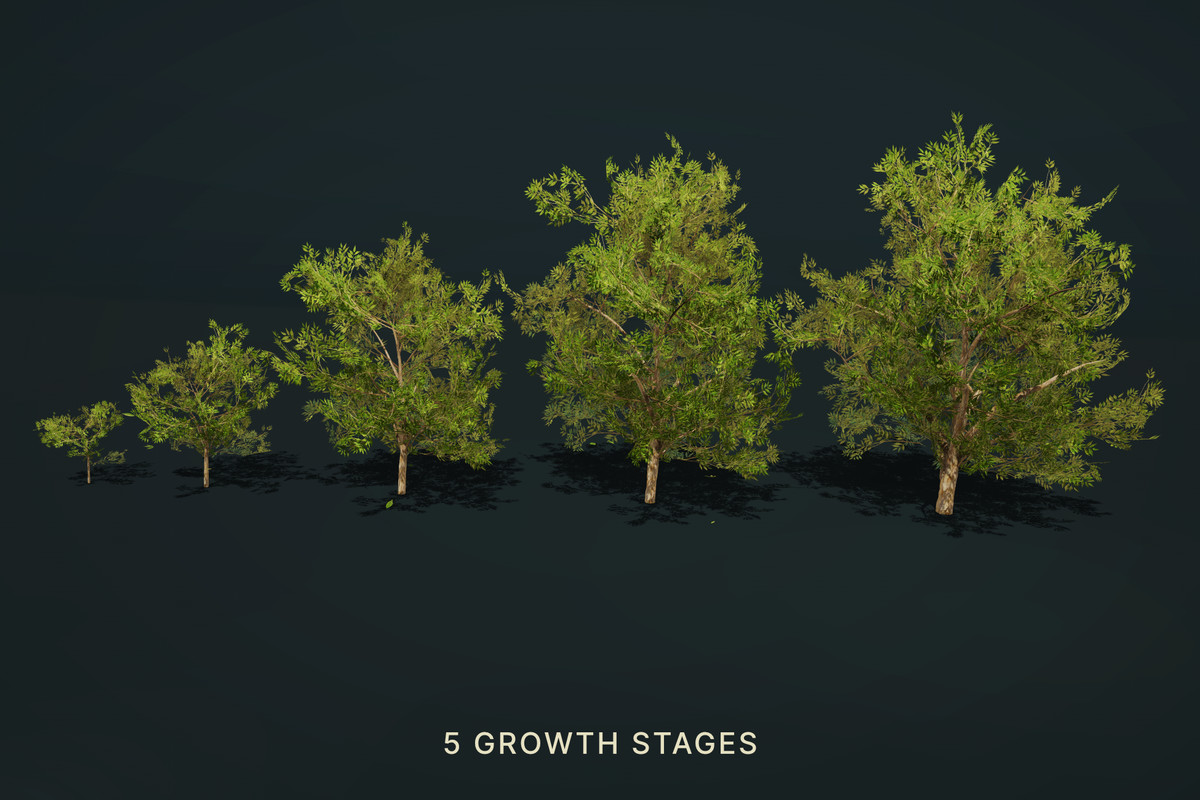 Wild Orchard: Hedgerow Trees | Harvestable Berries