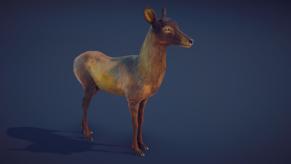 Realistic Deer