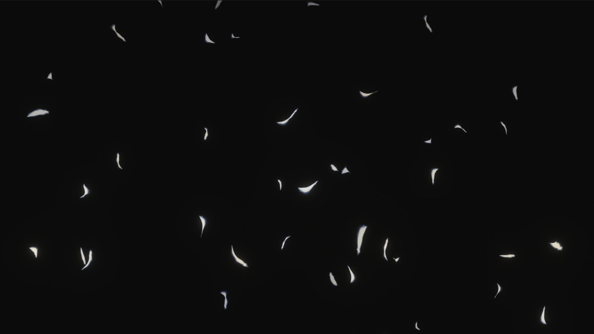Game VFX - BG Particle Effects