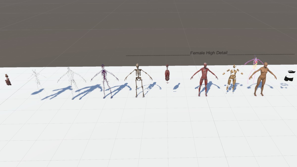 Anatomy Ultimate Pack