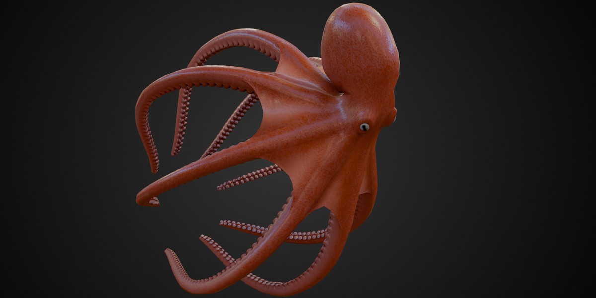 Animated Octopus