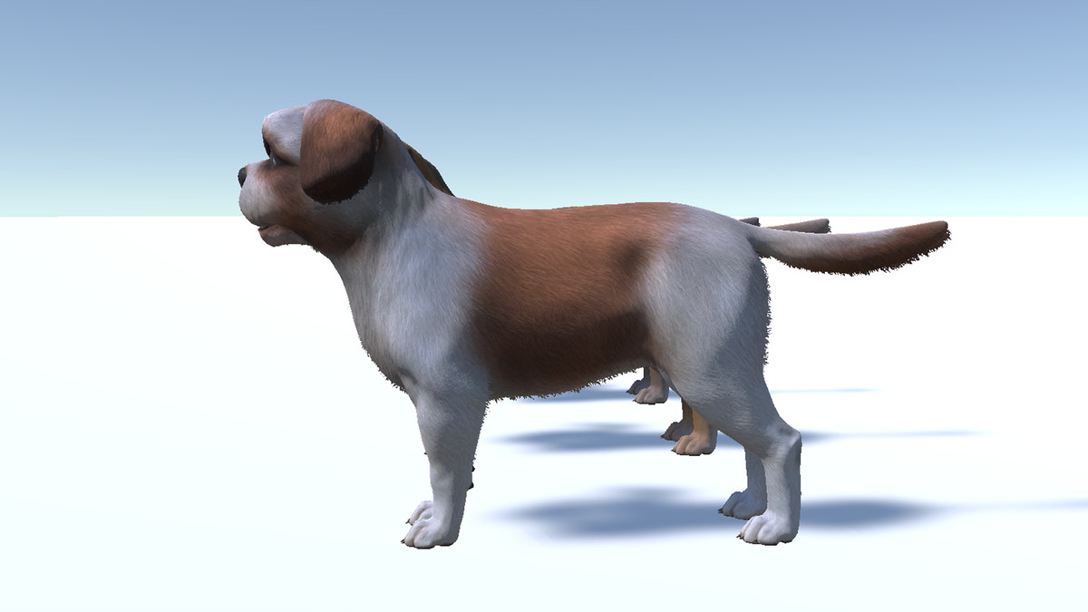 Dog - Shih Tzu
