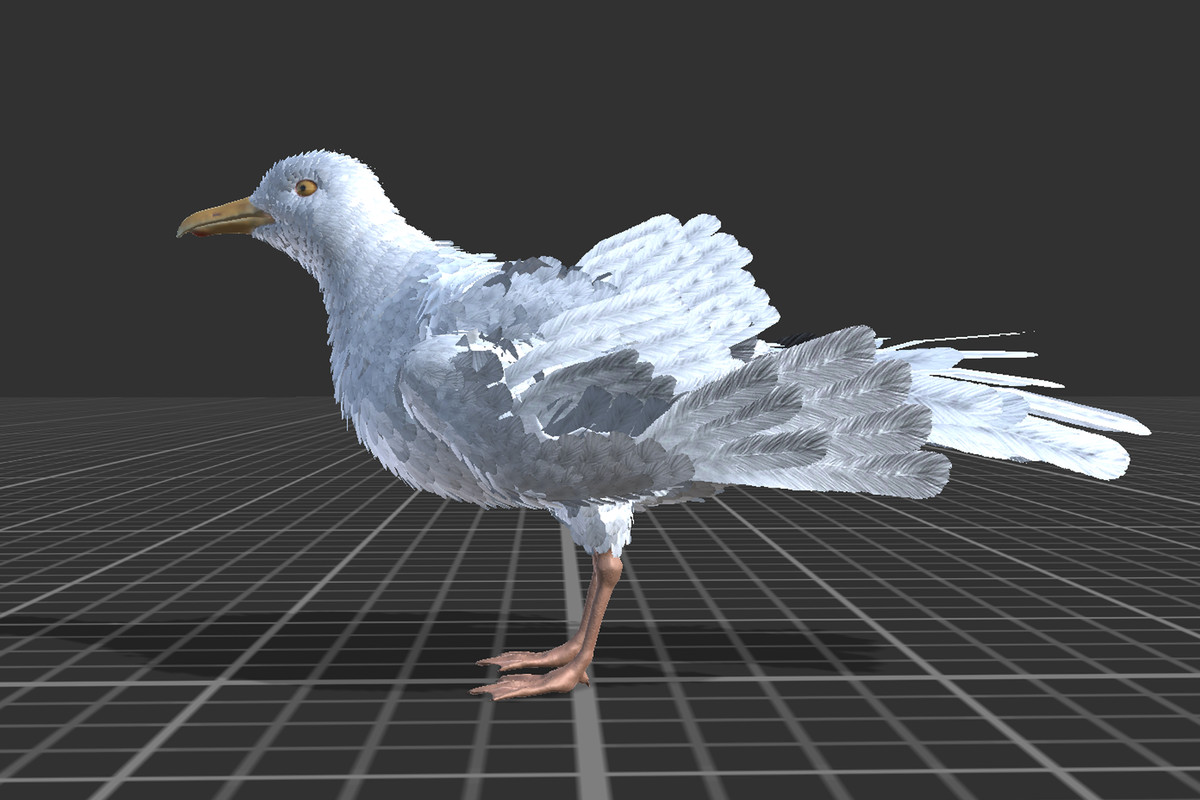 Seagull Feathered