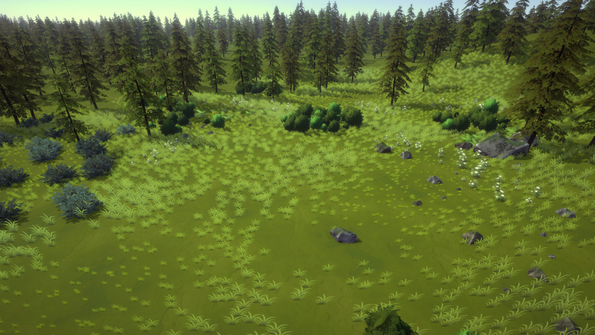 Skog: Temperate