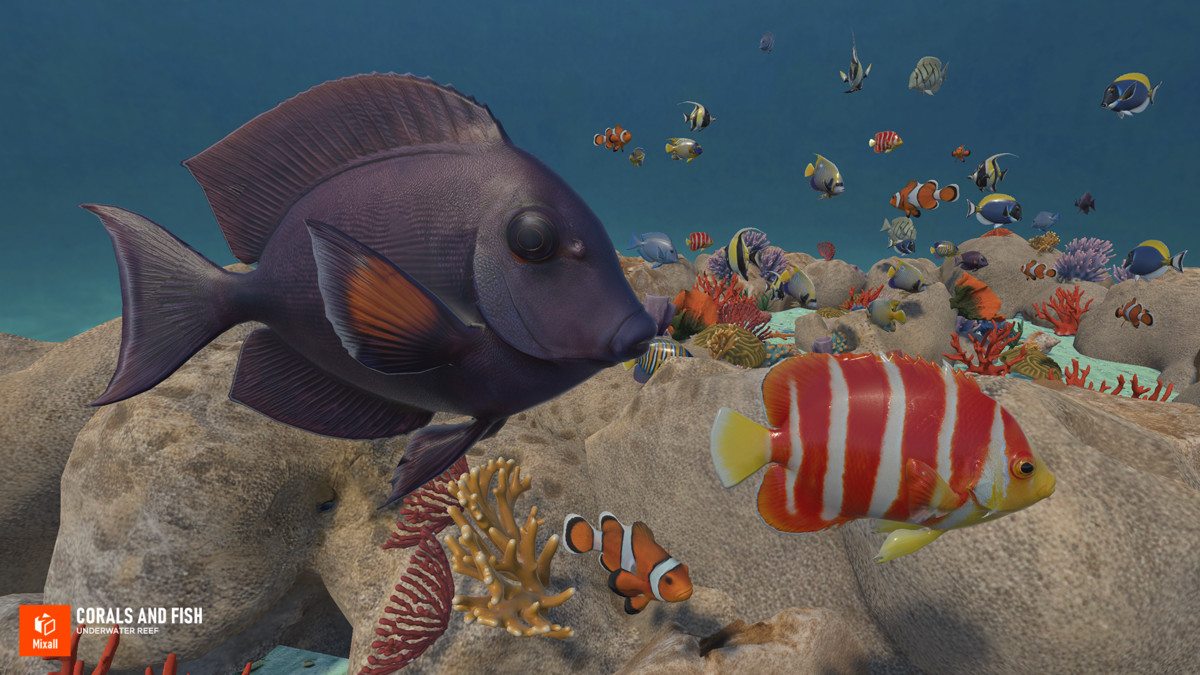 Corals and fish - underwater reef