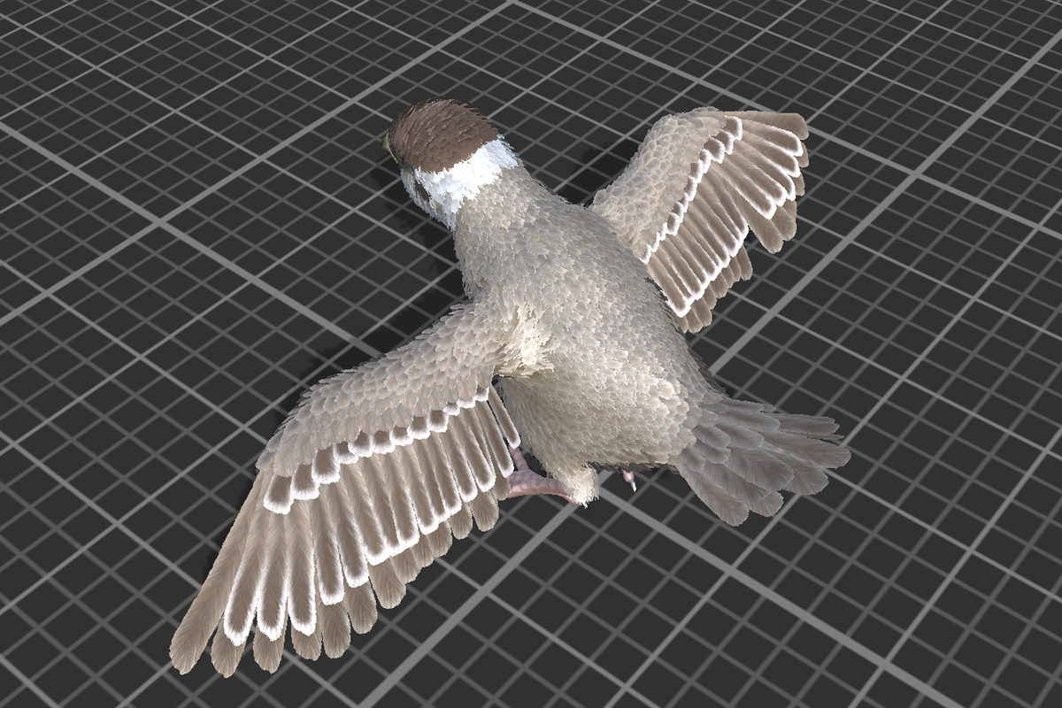 Sparrow Feathered
