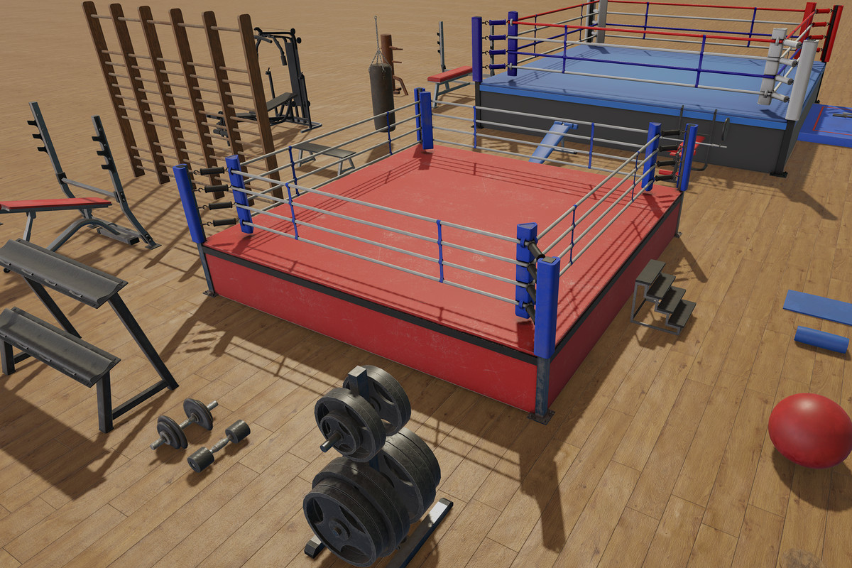 Boxing and Gym Equipment