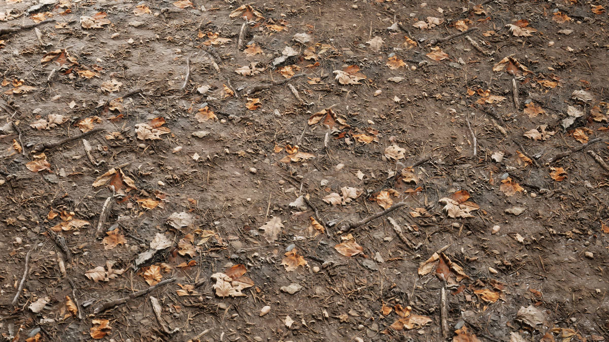 Realistic Materials - Forest Ground 2