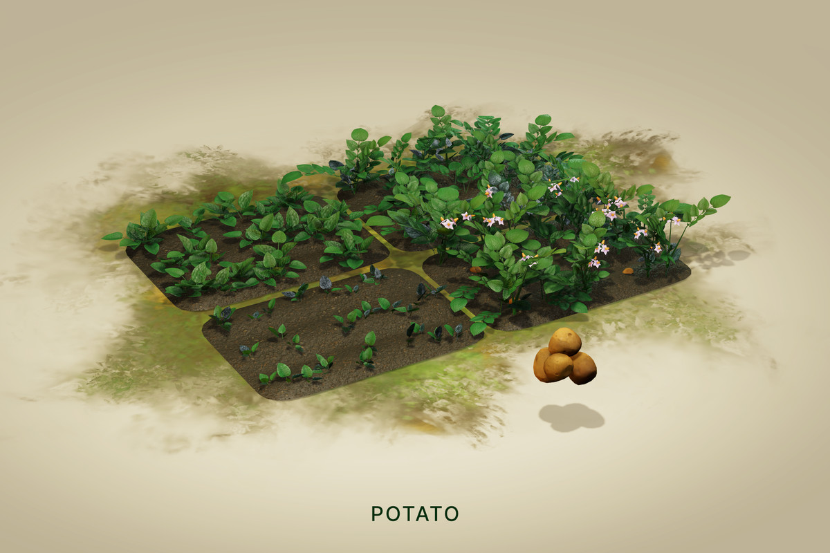 Wild Harvest: Root Vegetables