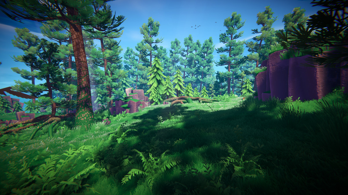 Adventure Nature Vol.6 Forest