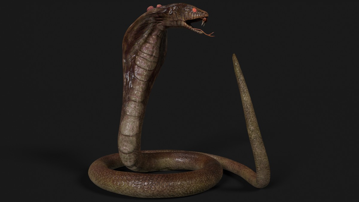 Snake - Mutant Collection