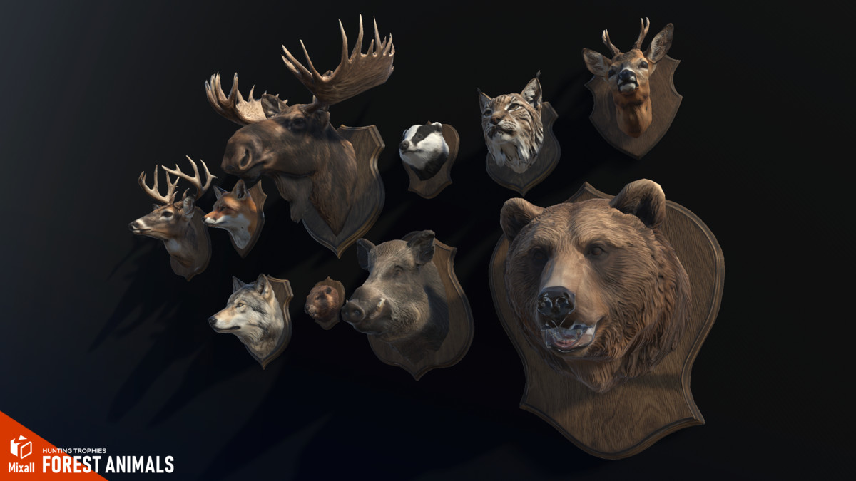 Forest animals – Hunting trophies